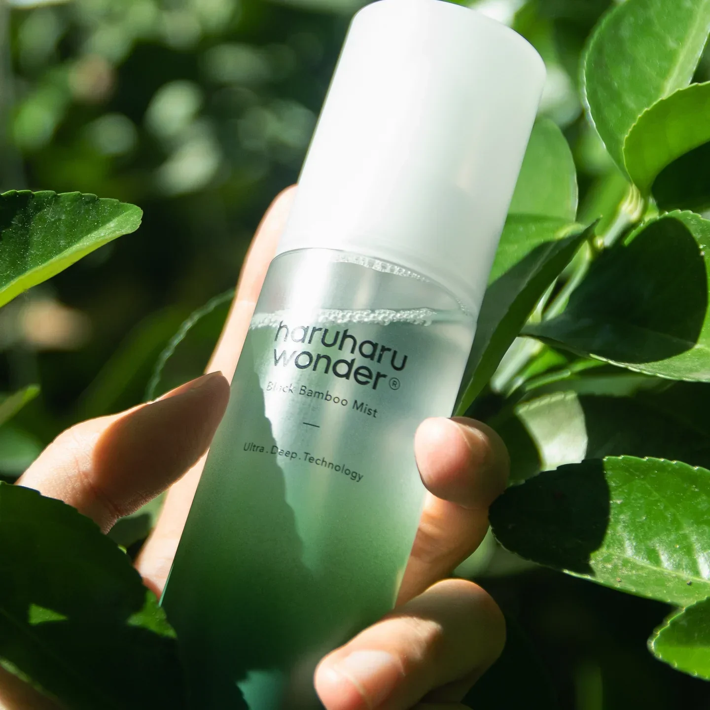 Black Bamboo Mist [80ml] - Image 2