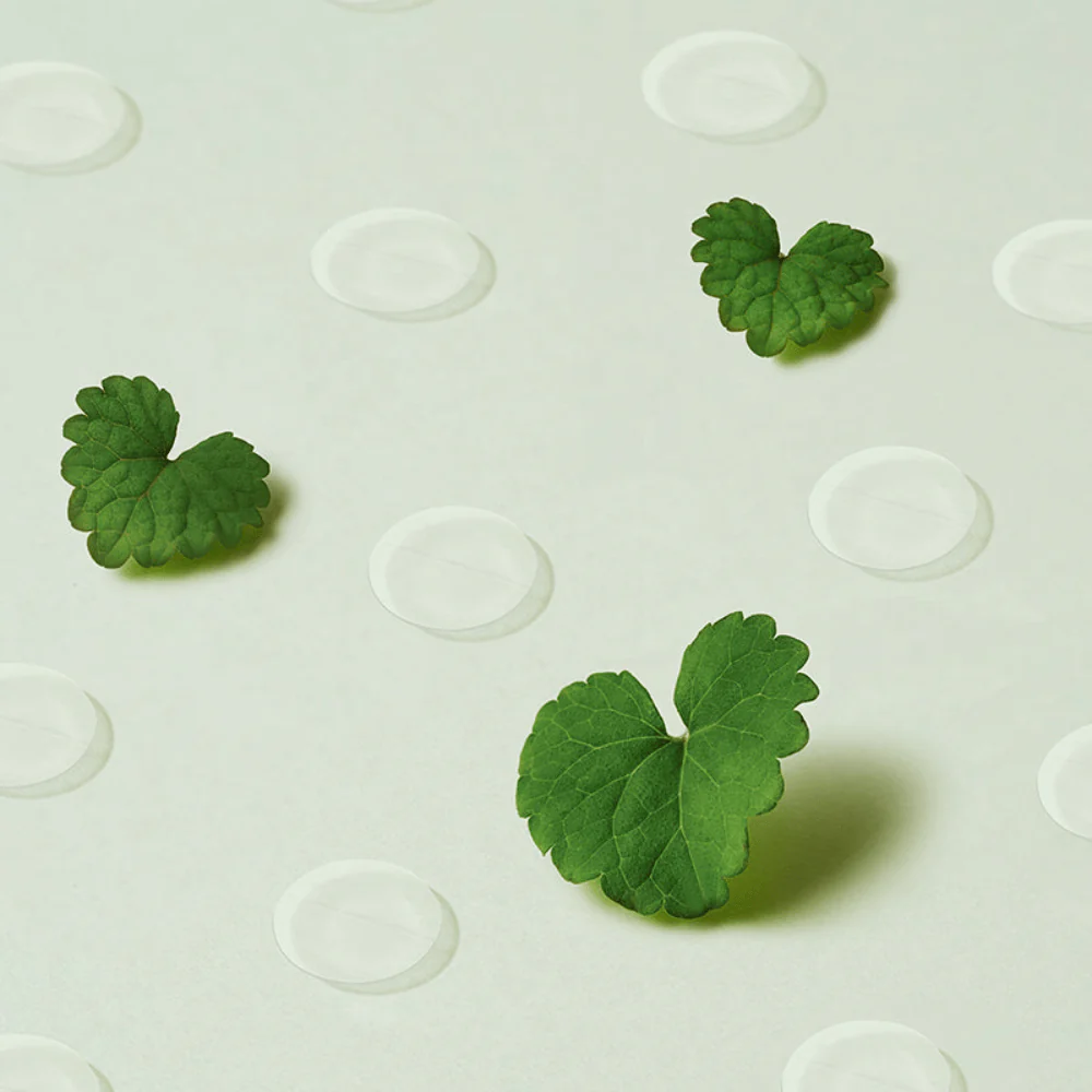 Wonder Releaf Centella Spot Patch [51 pcs] - Image 2
